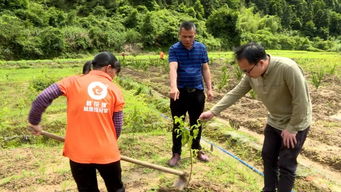 連平青年回鄉后,給自己定了三個五年計劃,現如今