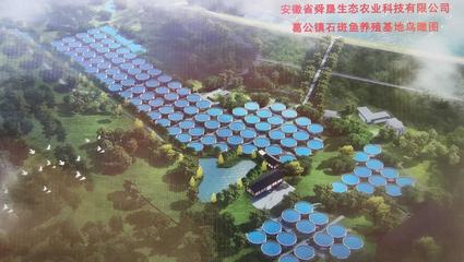 東至縣葛公鎮:石斑魚養殖開發及深加工項目開工儀式舉行