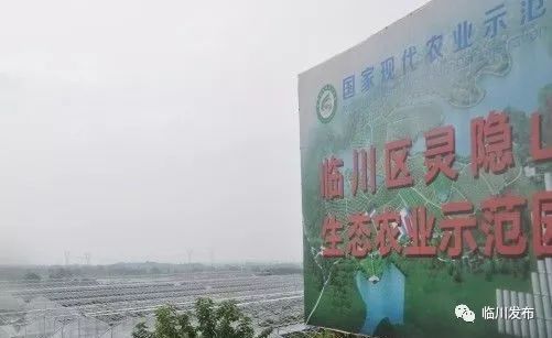 百億投資 臨川建設一批現代生態農業項目,哪個離你家最近