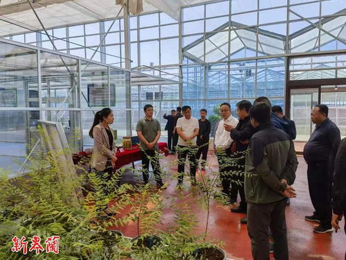 皋蘭縣組織考察學習國家儲備林項目建設工作