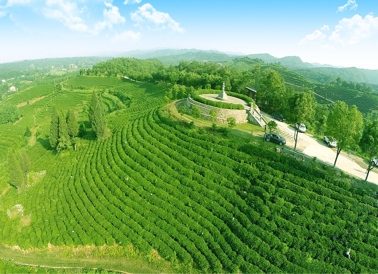 發展五山鄉村旅游,用好每一脈青山,每一灣綠水!