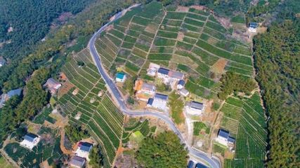 漁山鄉如何大力發展美麗經濟?區農辦怎樣打造鄉村振興先行區?