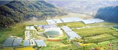 景德鎮這個地方投資約50億元 一處新的國家級旅游地將在這里誕生