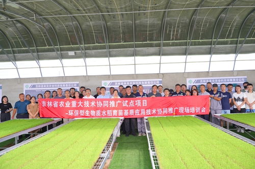 鎮賚縣引領品質農業新風尚 有機固廢巧利用,無土栽培繪振興藍圖