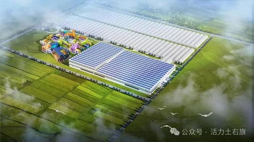 土右重大項目建設 熱氣騰騰